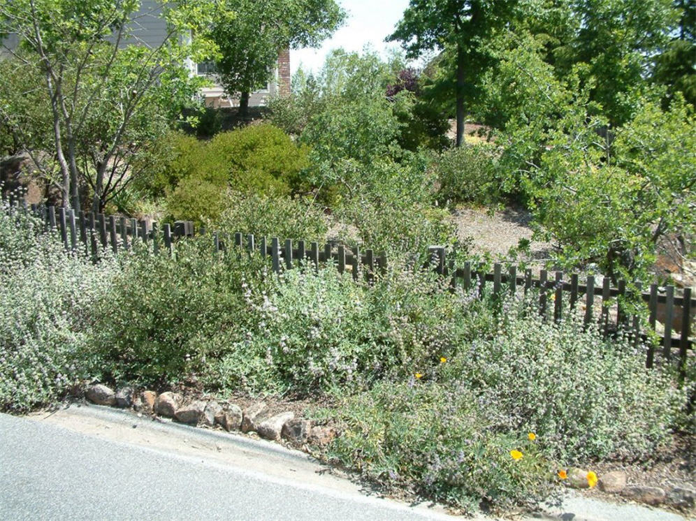 Simple Fencing for the Garden