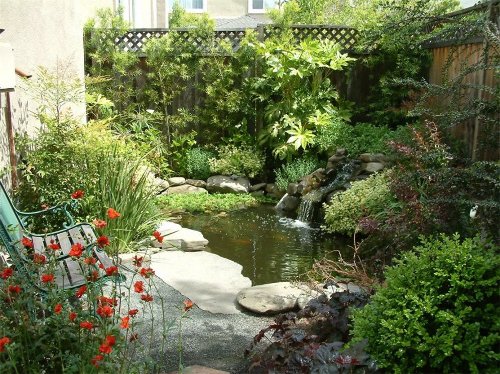 Serene Pond and Garden